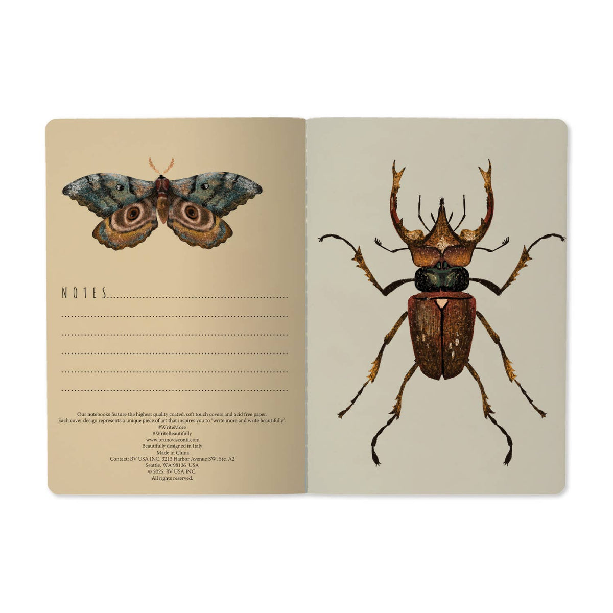 A5 Soft Cover Entomology Beetles Notebook