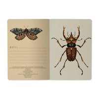 A5 Soft Cover Entomology Beetles Notebook