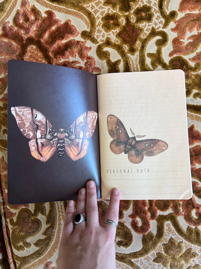 A5 Soft Cover Butterfly Notebook
