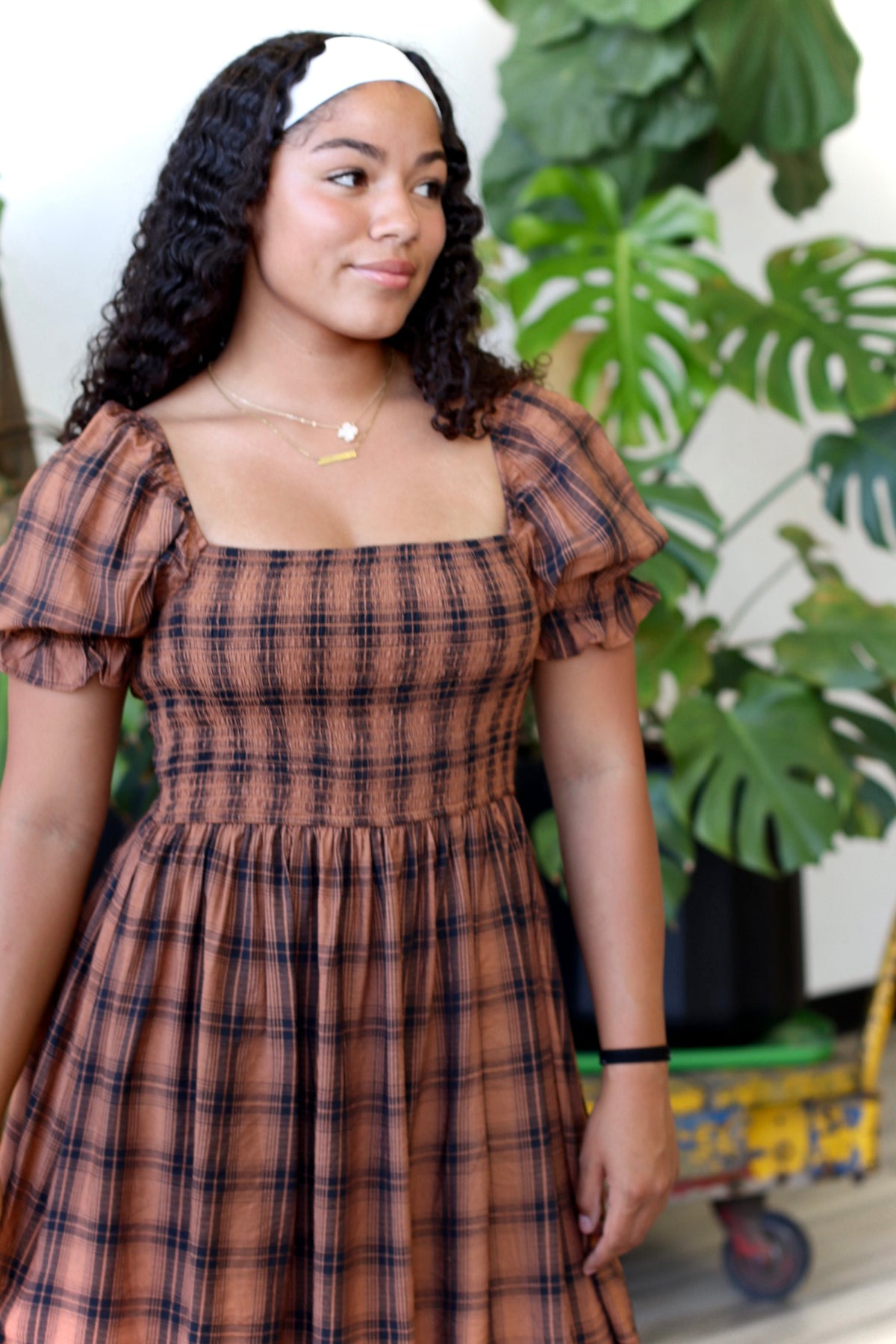 Harvest Time Dress + Brown