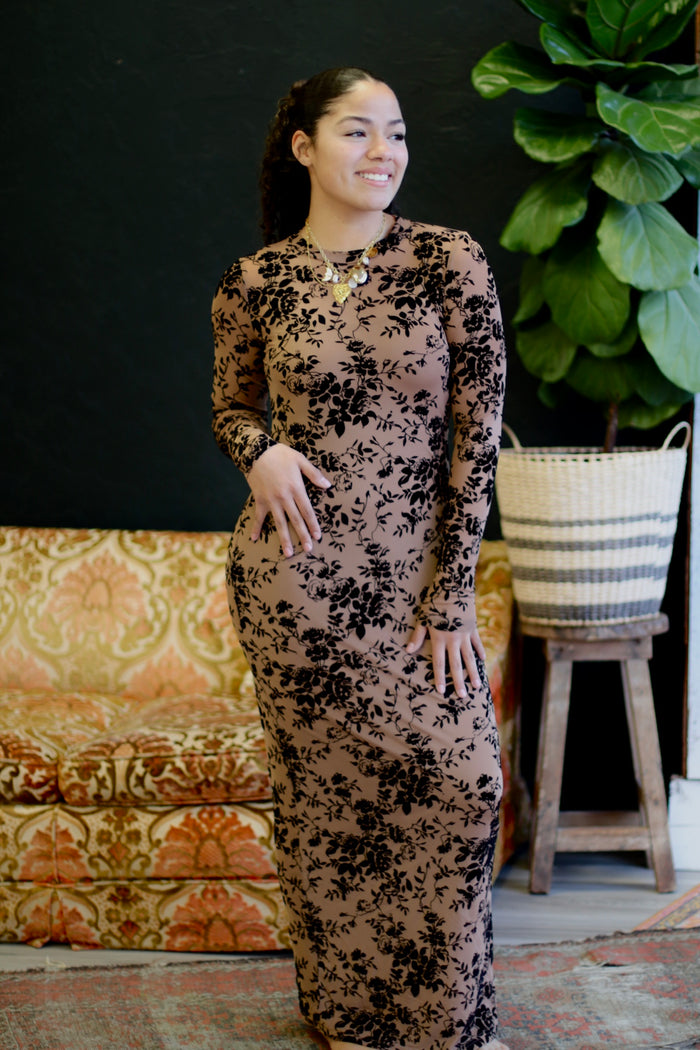 Velvet Flocking Long Sleeve Maxi Dress