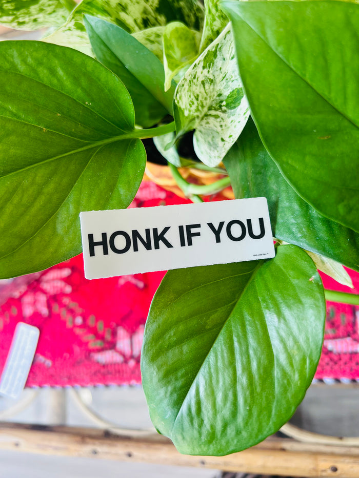 HONK IF YOU Sticker